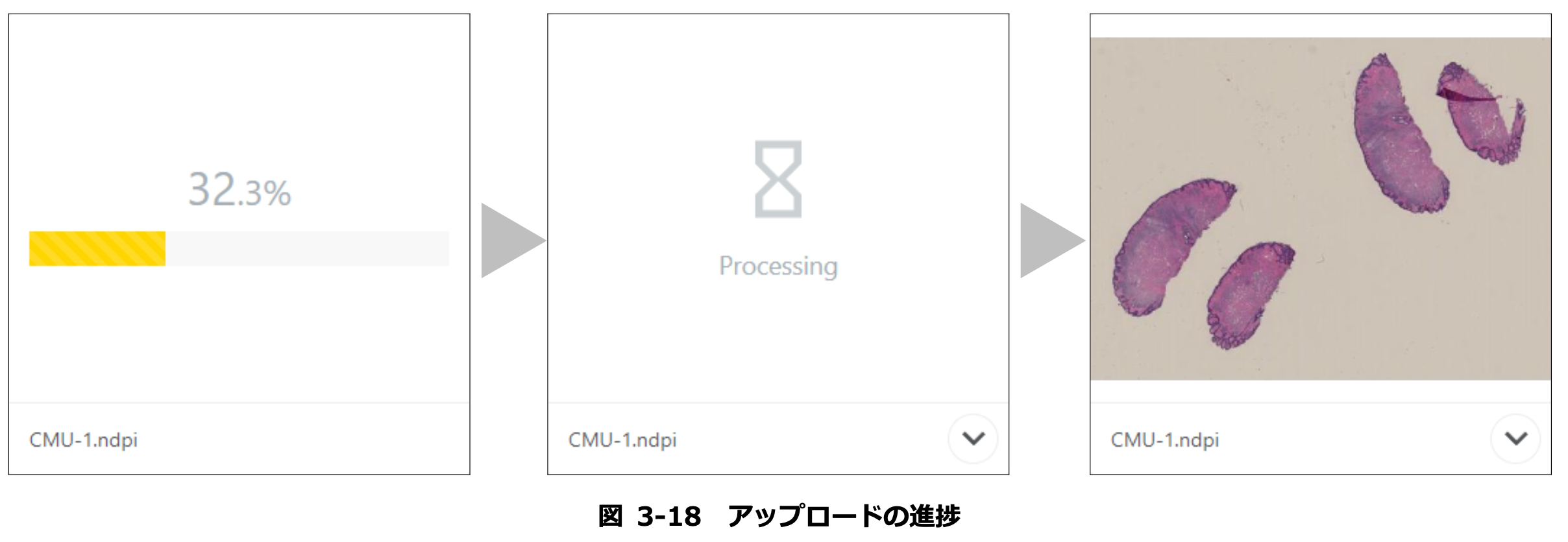 __________2023-05-10_16.45.36.png