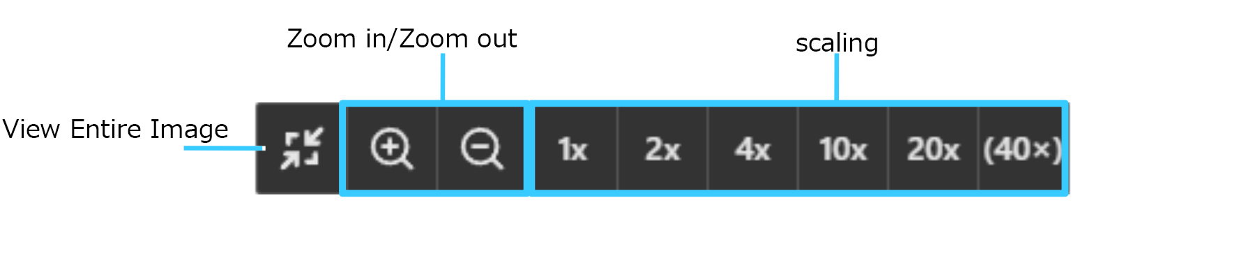 13.png